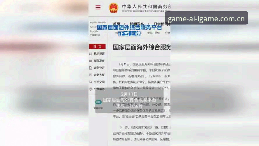 电脑端年度推荐平台访问 电脑端年度推荐平台访问,为什么YCD8成了海外华人的首选?
